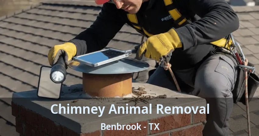 Chimney Animal Removal Benbrook - TX