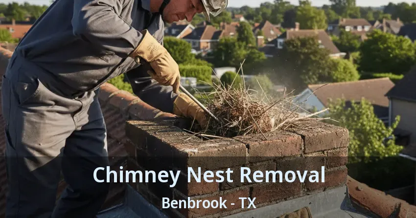 Chimney Nest Removal Benbrook - TX