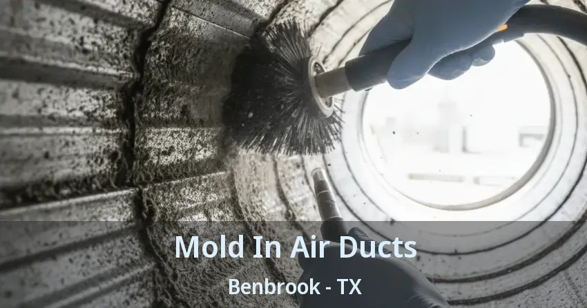 Mold In Air Ducts Benbrook - TX