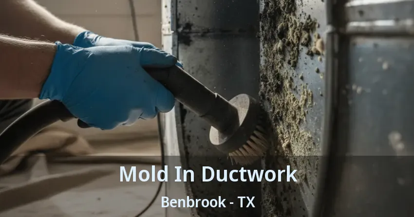 Mold In Ductwork Benbrook - TX