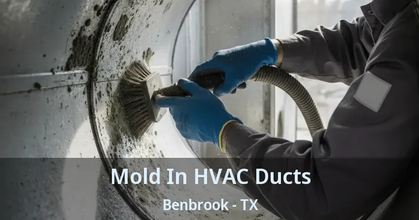 Mold In HVAC Ducts Benbrook - TX Mold In HVAC Ducts Benbrook - TX